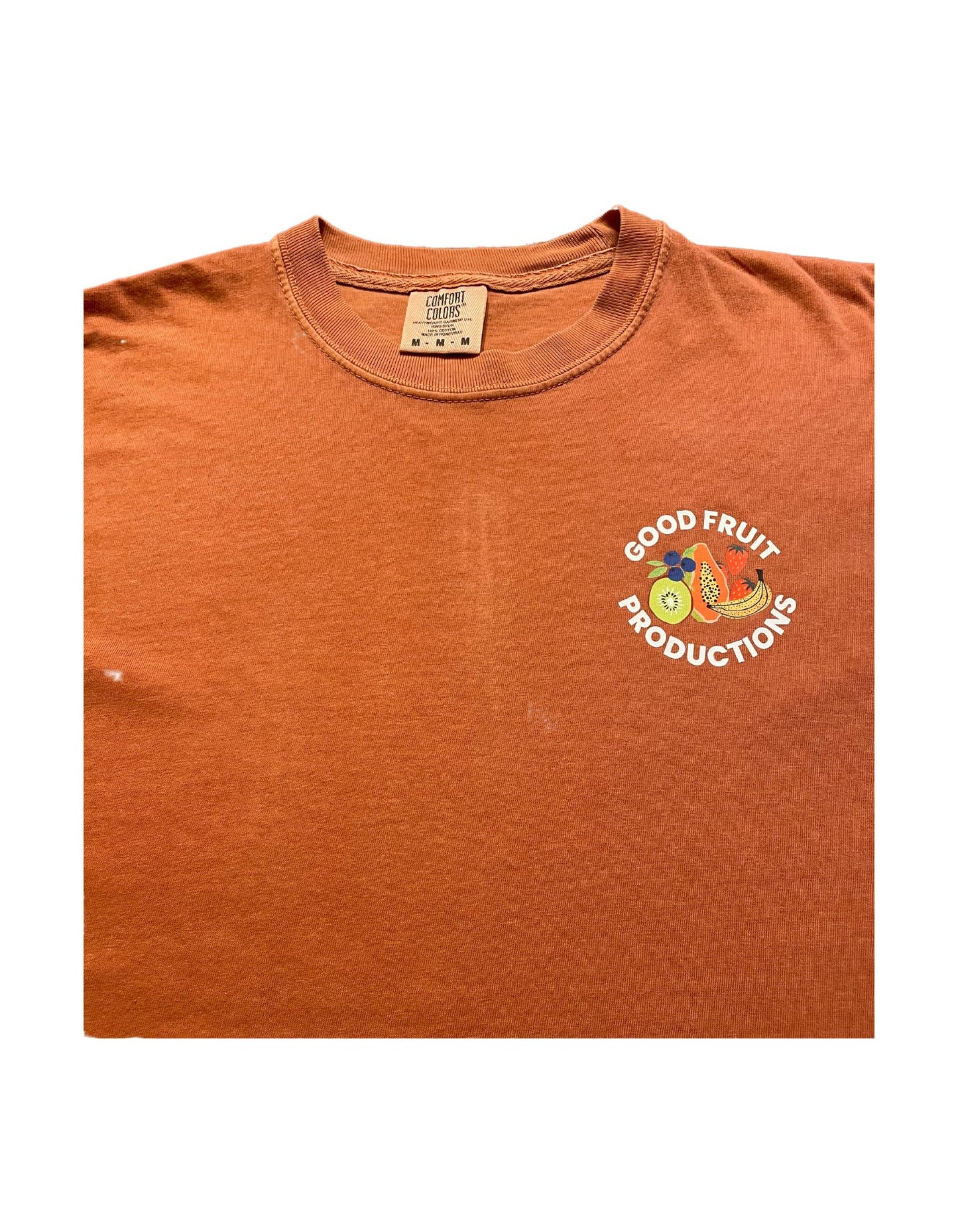In The Beginning (Burnt Orange) - Heavyweight Tee - Good Fruit Productions