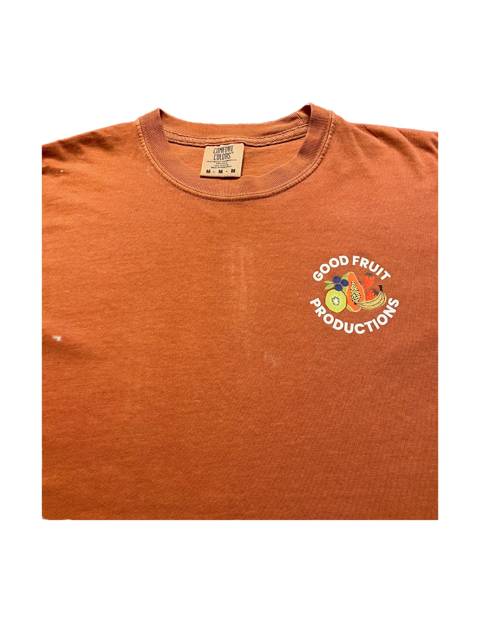 In The Beginning (Burnt Orange) - Heavyweight Tee - Good Fruit Productions